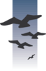 Birds Flying In The Distance Clip Art